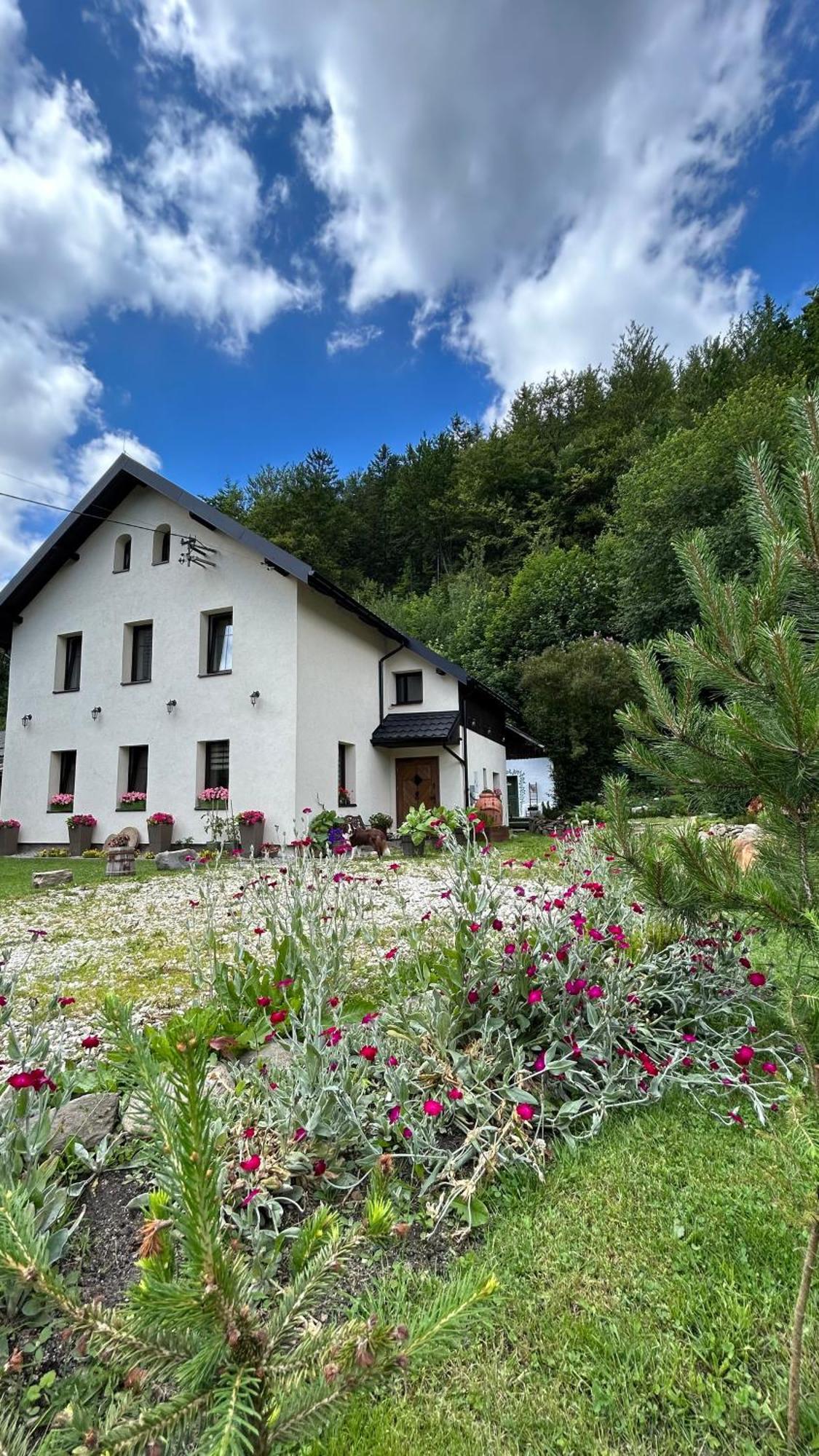 Apartamenty Goszowianka Stronie Śląskie Kültér fotó